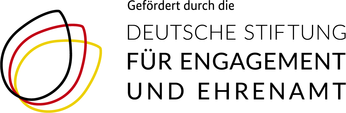 DSEE Logo